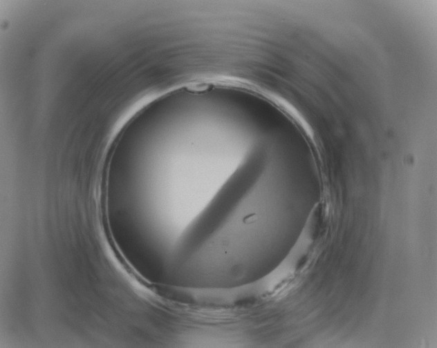 X0000084021007200703022052