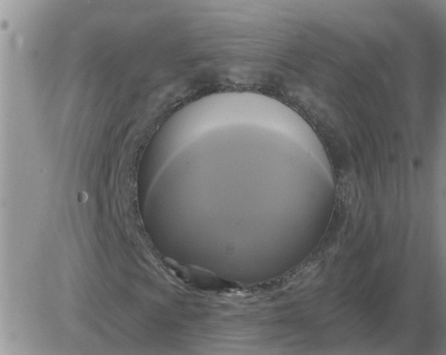 X0000084021009200703022051