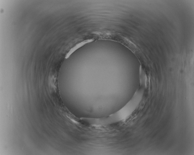 X0000084021010200703022051