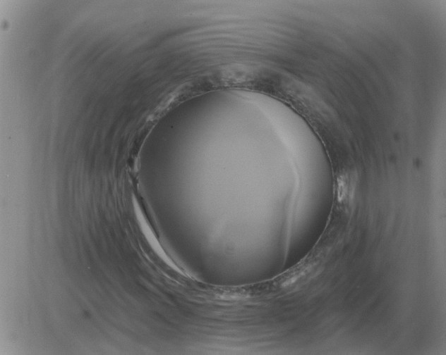 X0000084021011200703022051