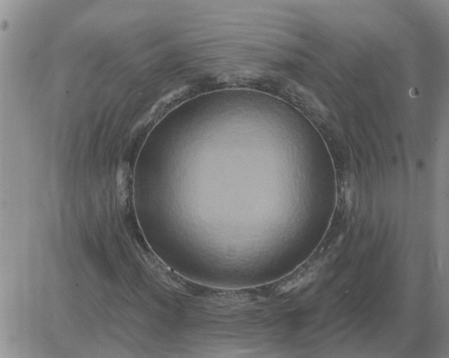 X0000084021012200703022051