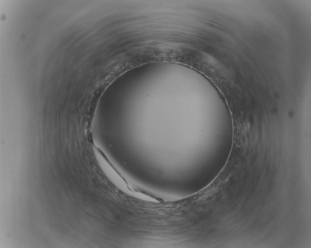 X0000084021013200703022051