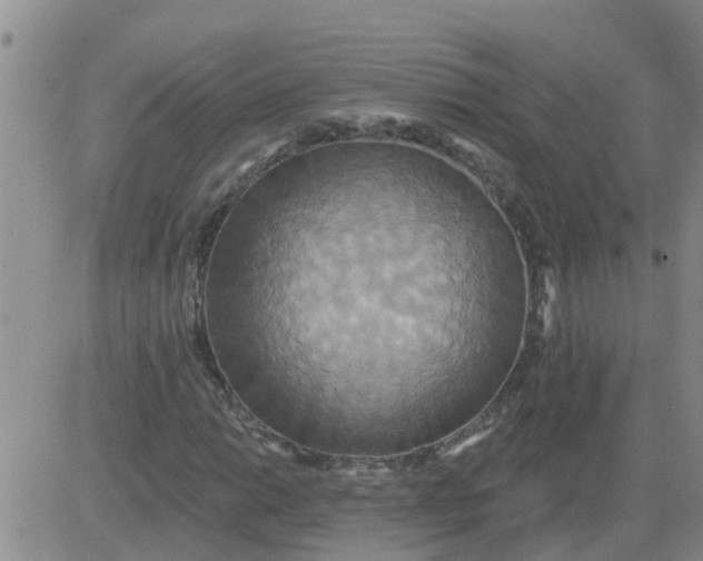 X0000084021014200703022051