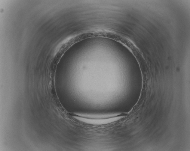 X0000084021016200703022051