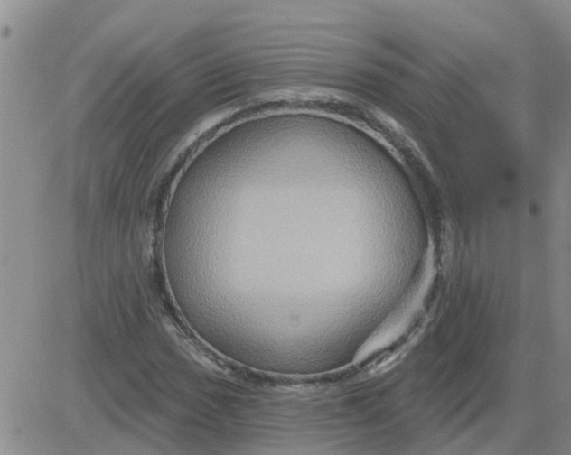 X0000084021017200703022051