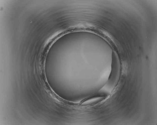 X0000084021018200703022051