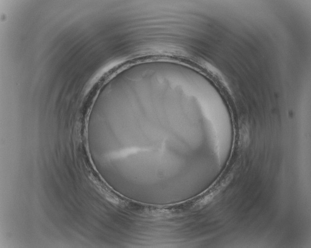 X0000084021019200703022051