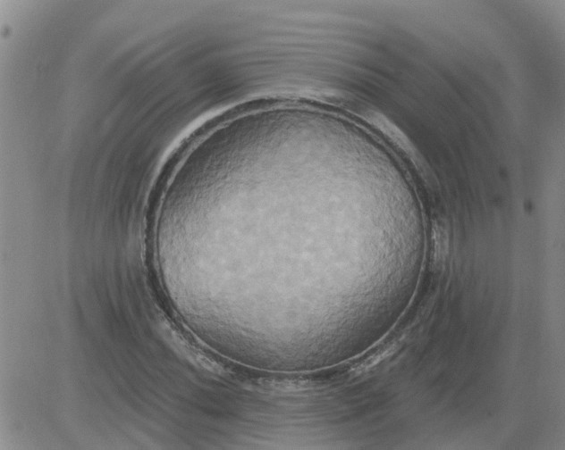 X0000084021020200703022051