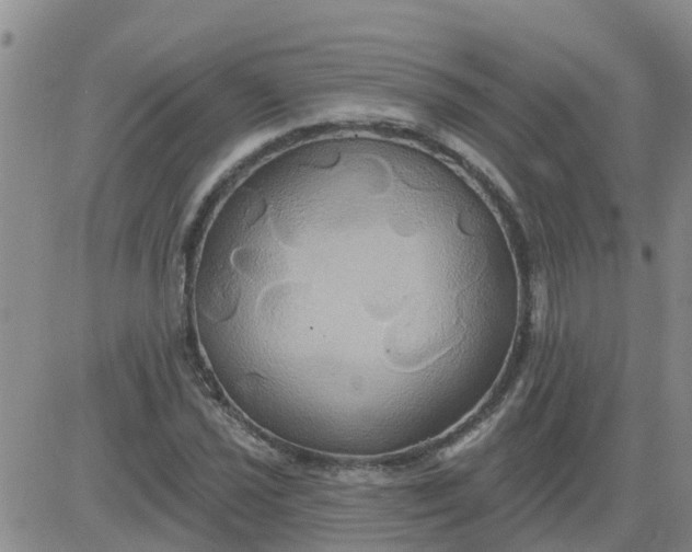 X0000084021021200703022051