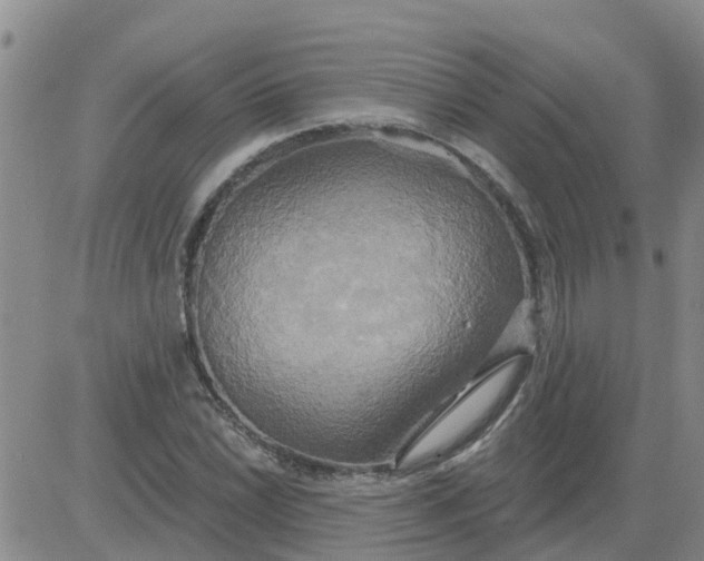 X0000084021022200703022051