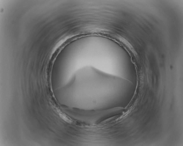 X0000084021023200703022051