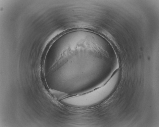 X0000084021024200703022051