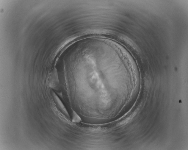 X0000084021025200703022051