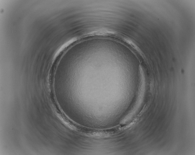 X0000084021026200703022051