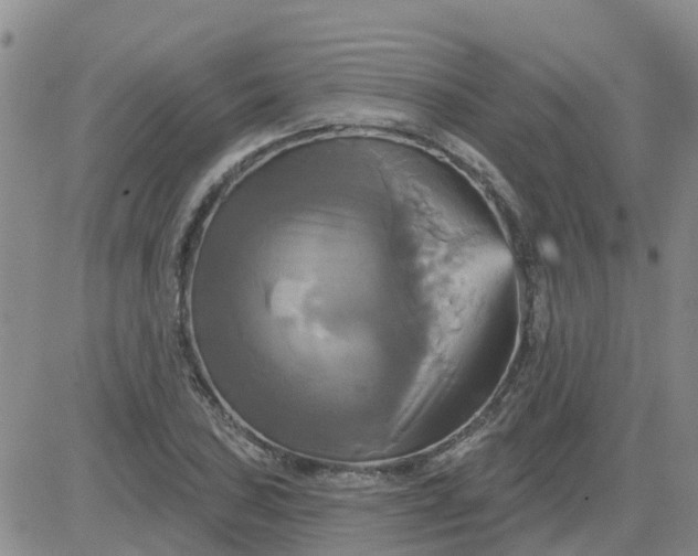 X0000084021027200703022051