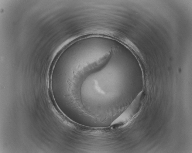 X0000084021028200703022051