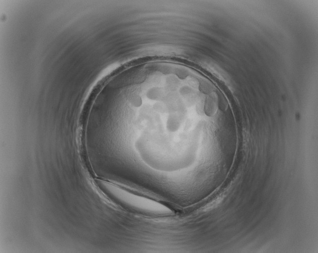 X0000084021029200703022051