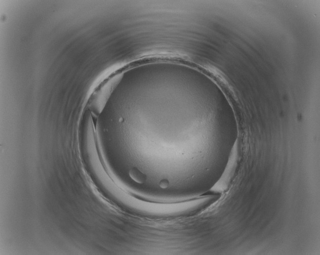 X0000084021030200703022051