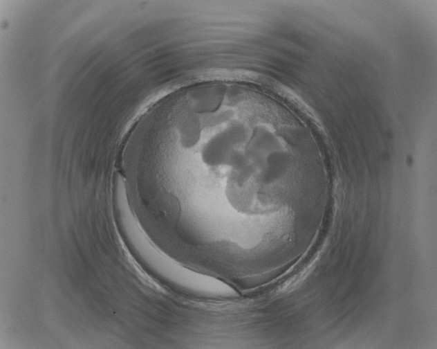 X0000084021033200703022052