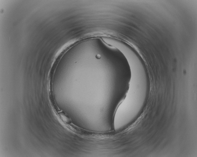 X0000084021034200703022052