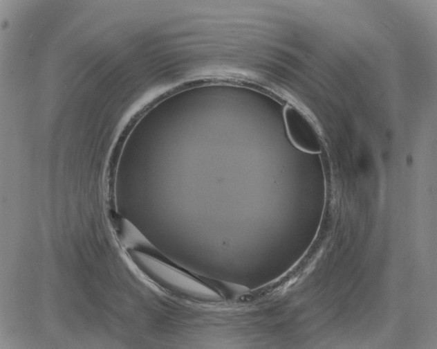 X0000084021037200703022052