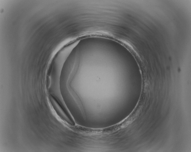 X0000084021038200703022052