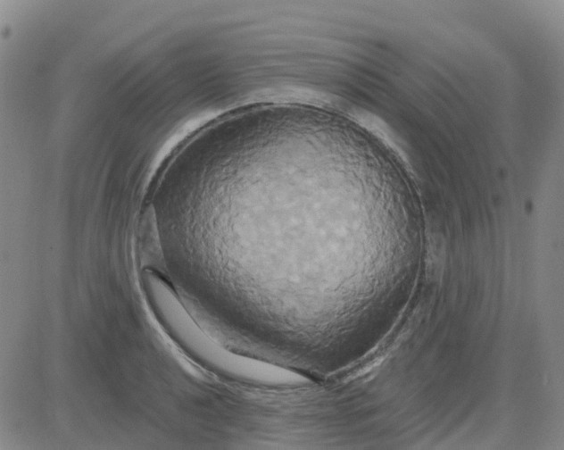 X0000084021040200703022052