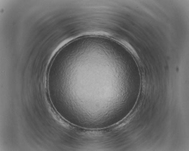 X0000084021044200703022052