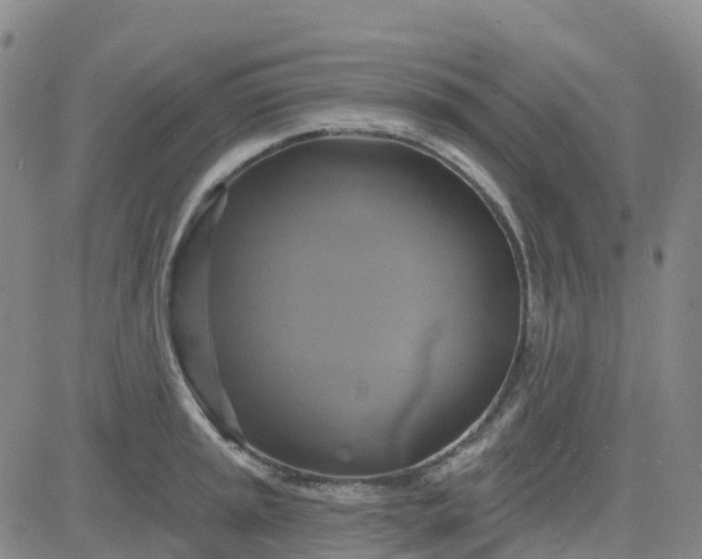 X0000084021045200703022052