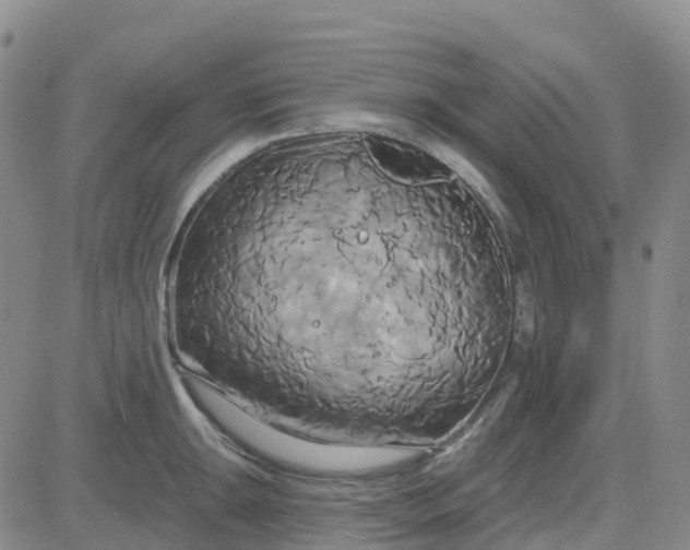 X0000084021047200703022052