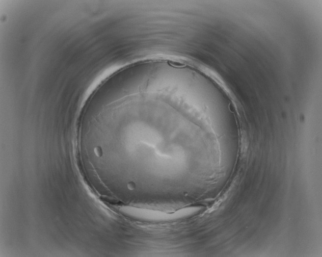 X0000084021048200703022052