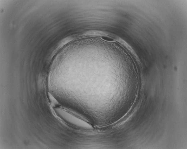 X0000084021049200703022052