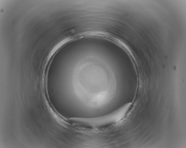 X0000084021050200703022052