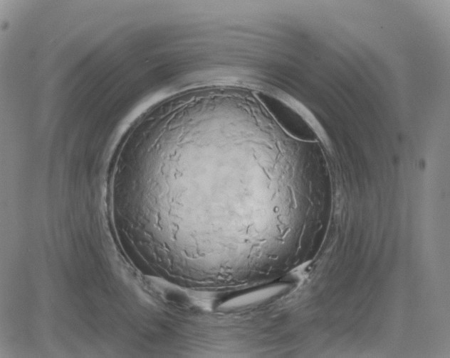 X0000084021051200703022052