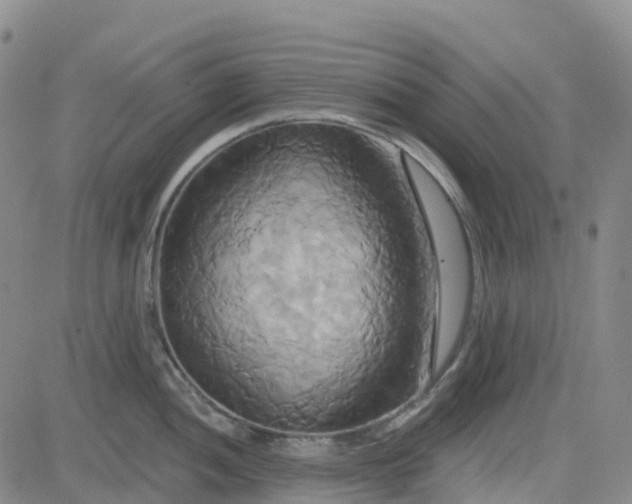 X0000084021052200703022052