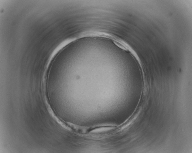 X0000084021053200703022052