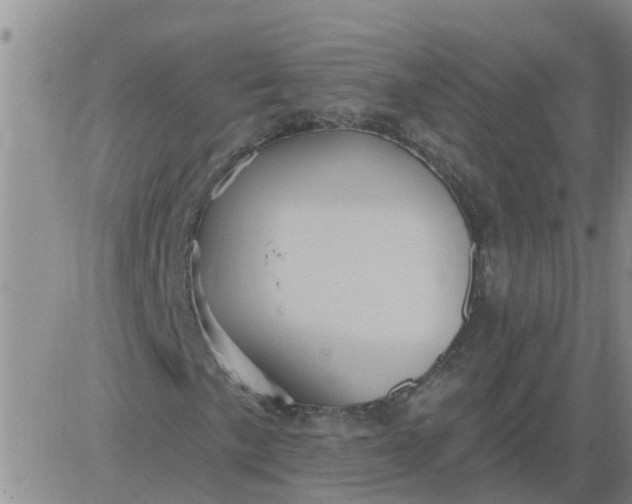 X0000084021057200703022051