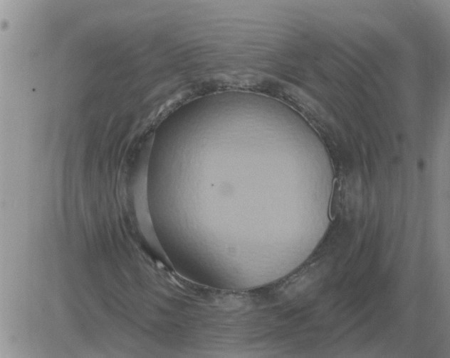 X0000084021058200703022051