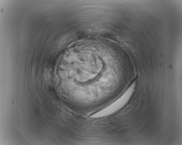 X0000084021059200703022051