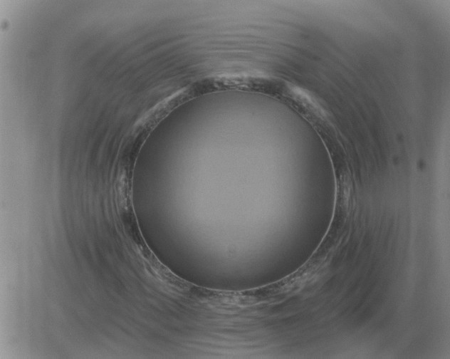 X0000084021060200703022051