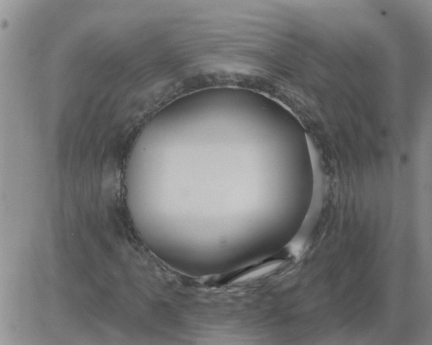 X0000084021061200703022051