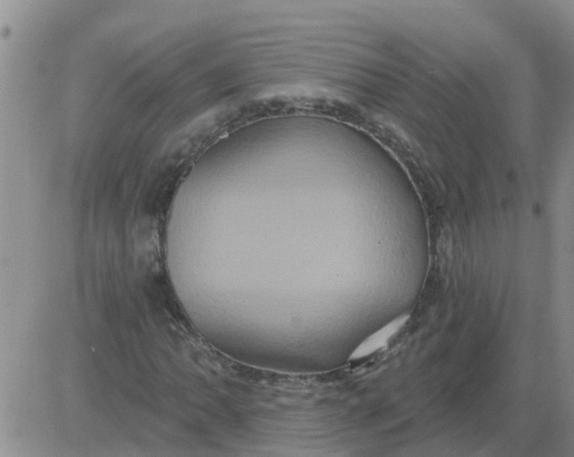 X0000084021062200703022051