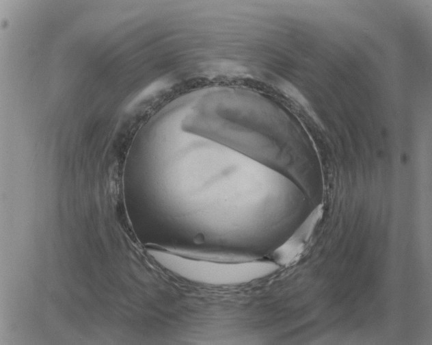 X0000084021063200703022051