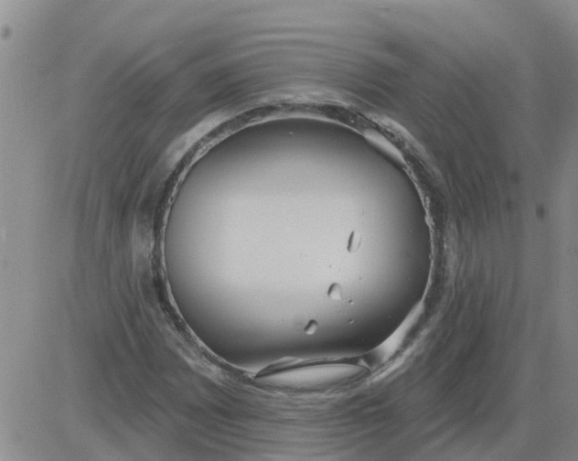 X0000084021065200703022051