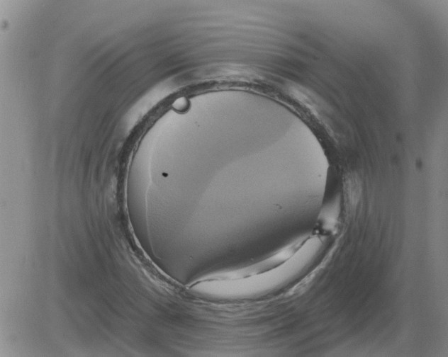 X0000084021066200703022051