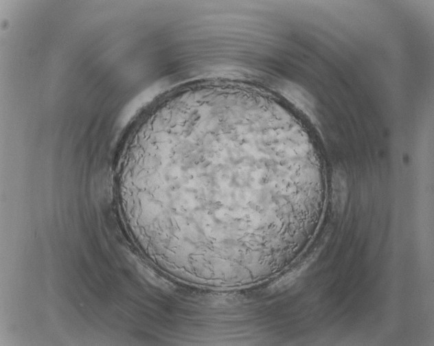 X0000084021067200703022051