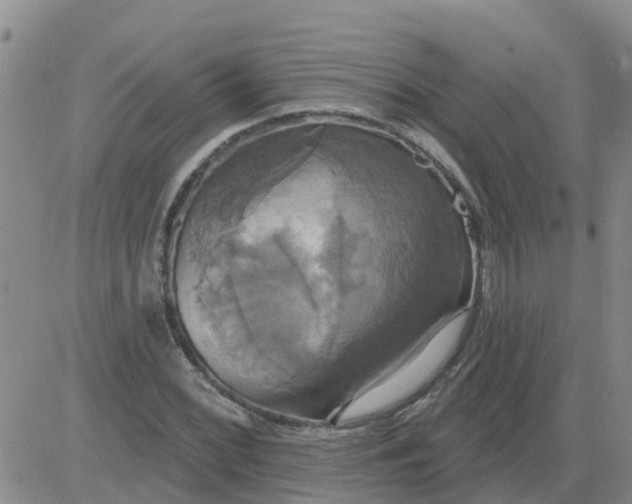 X0000084021068200703022051