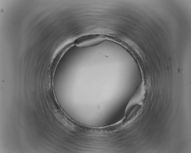 X0000084021069200703022051