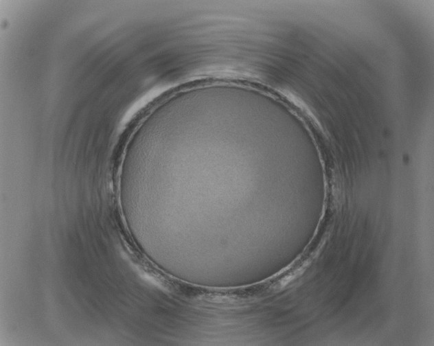 X0000084021070200703022051