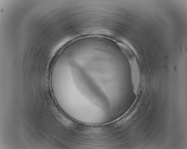 X0000084021071200703022051